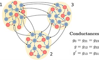 Information Transmission in Delay-Coupled Neuronal Circuits in the Presence of a Relay Population